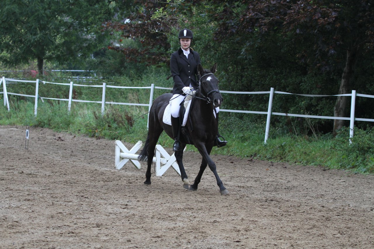 Bild 291 - WBO-Turnier am 18.9.11